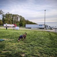 Dog Park at Love's Travel Stops ico
