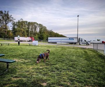 Dog Park at Love's Travel Stops