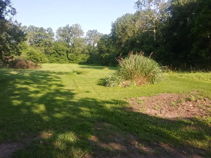 Wiggley Field Dog Park 2