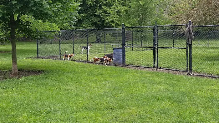 Wiggley Field Dog Park 9