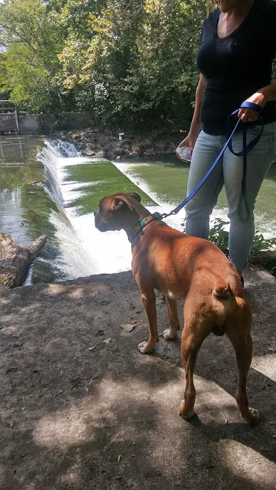 Wiggley Field Dog Park 4