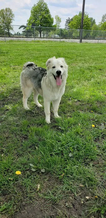 Kaufman Dog Park 6