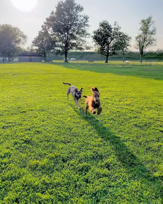 Kaufman Dog Park 8