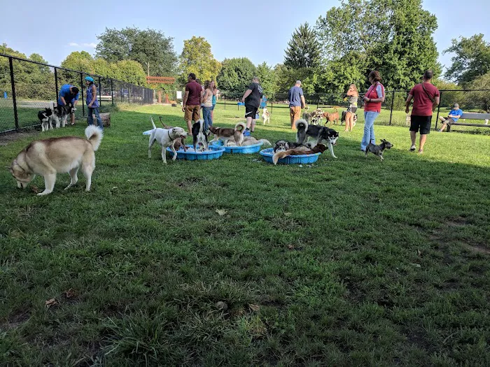 Central Bark Dog Park 3