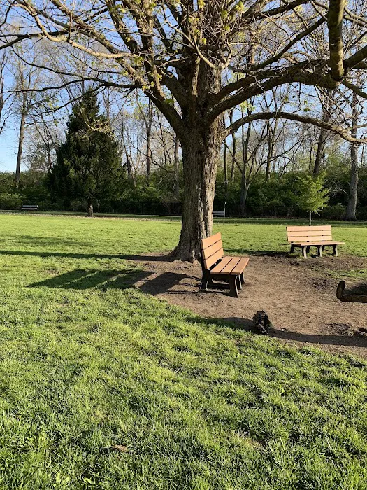 Central Bark Dog Park 9