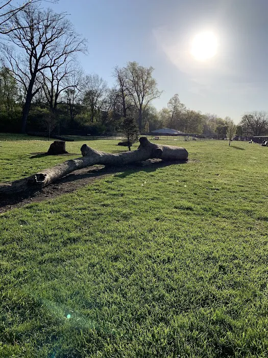 Central Bark Dog Park 8