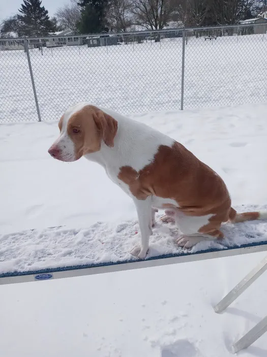 Fido's Field Dog Park 2