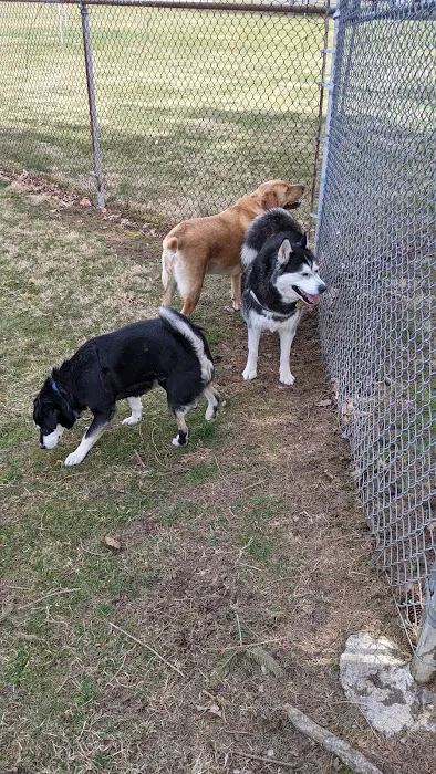 Fido's Field Dog Park 10