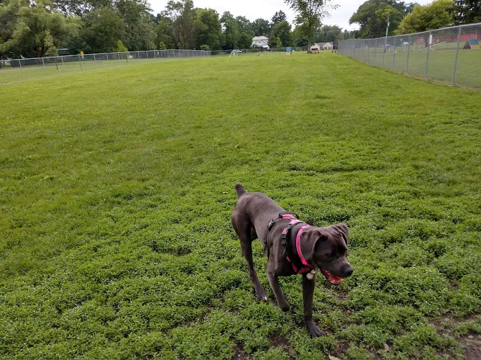 Fido's Field Dog Park 6