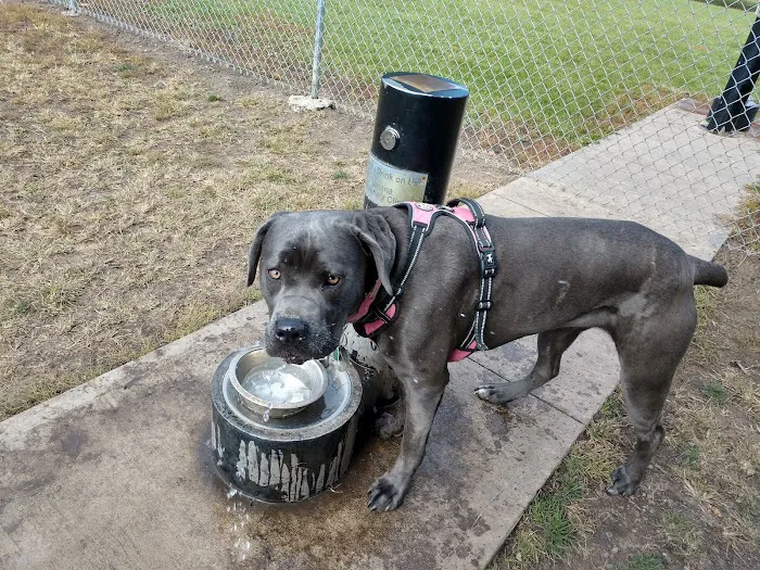 Fido's Field Dog Park 4