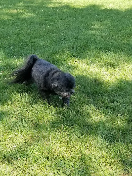 Fido's Field Dog Park 9