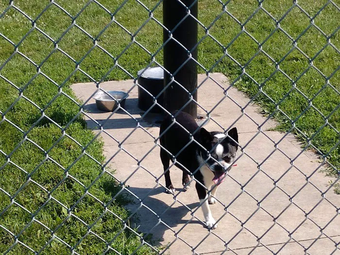 Fido's Field Dog Park 3