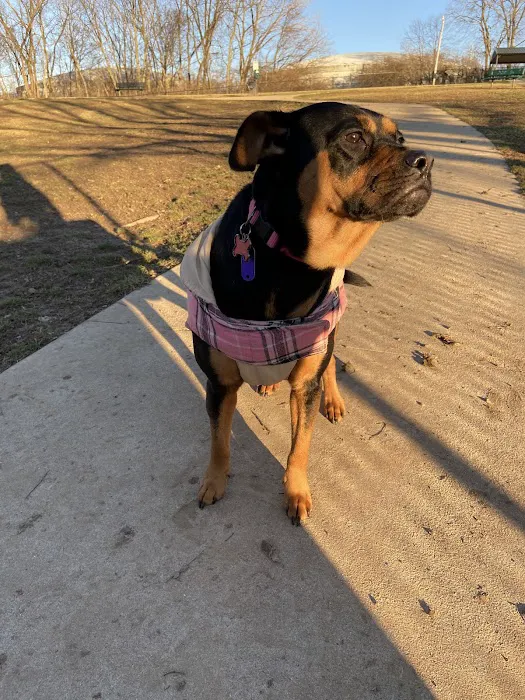 Sandhill Dog Park 6