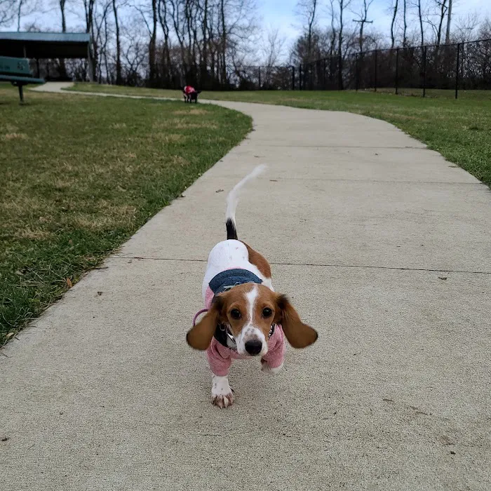 Sandhill Dog Park 10