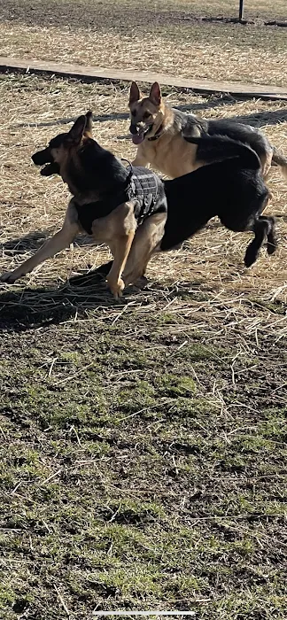 Sandhill Dog Park 7