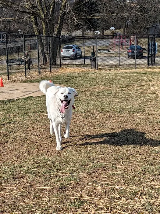 Sandhill Dog Park 9