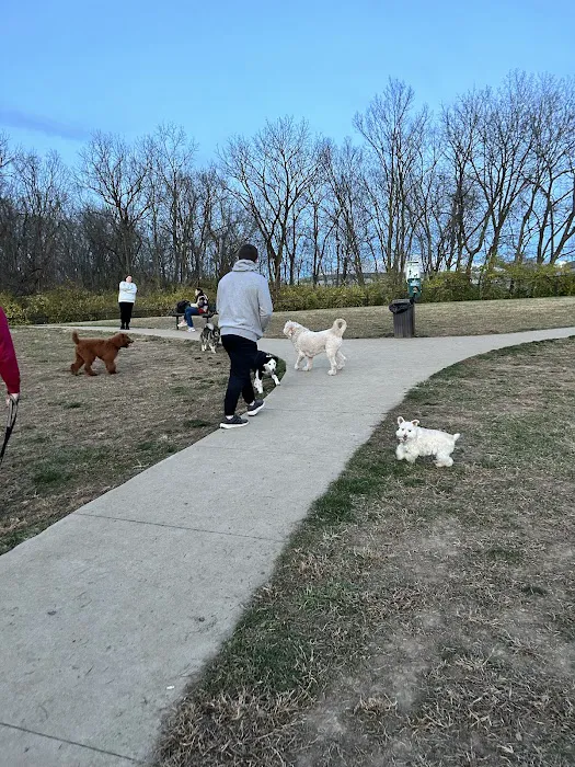Sandhill Dog Park 4