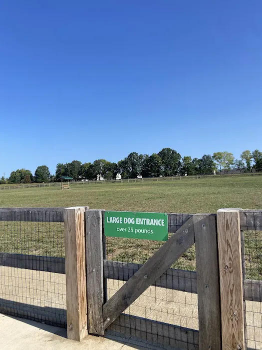 Hobson Freedom Park Dog Park 4