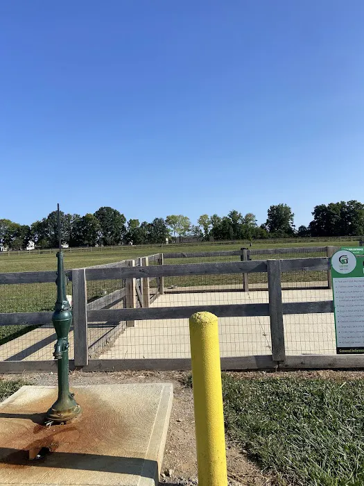 Hobson Freedom Park Dog Park 3
