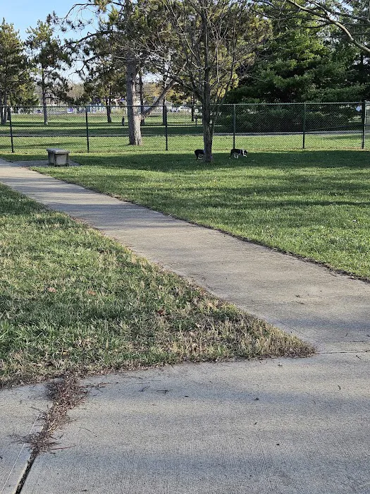 Dog Park 7