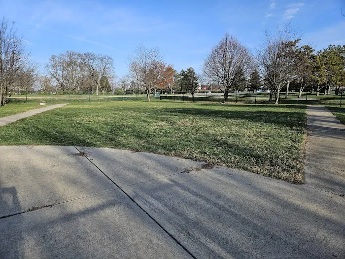 Dog Park 6