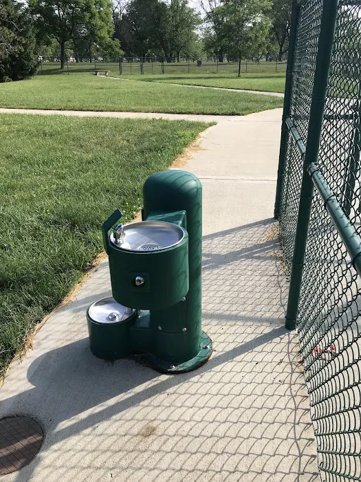 Dog Park 3