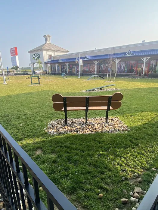 Destination Dog Park 1