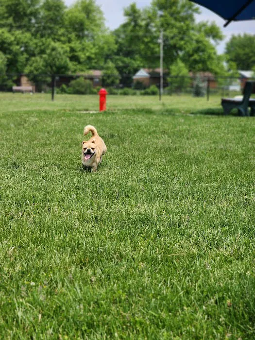 Kitty Hawk/Menlo Dog Park 1