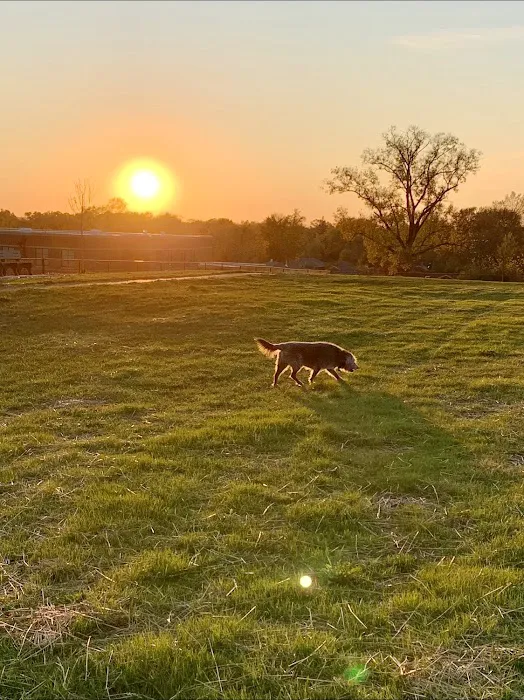 Kitty Hawk/Menlo Dog Park 9