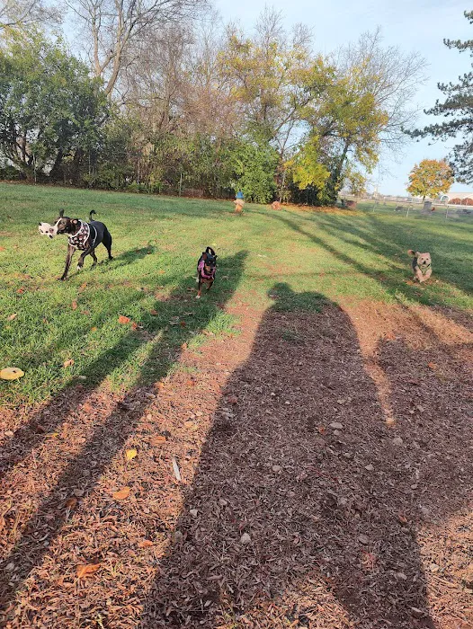 Community Park Dog Park 2