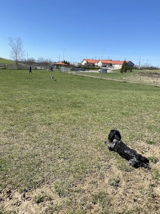 Montgomery County Bark Park Dayton 2