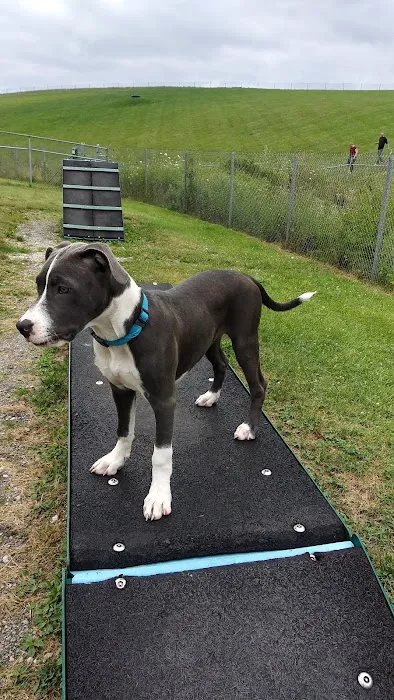 Montgomery County Bark Park Dayton 1