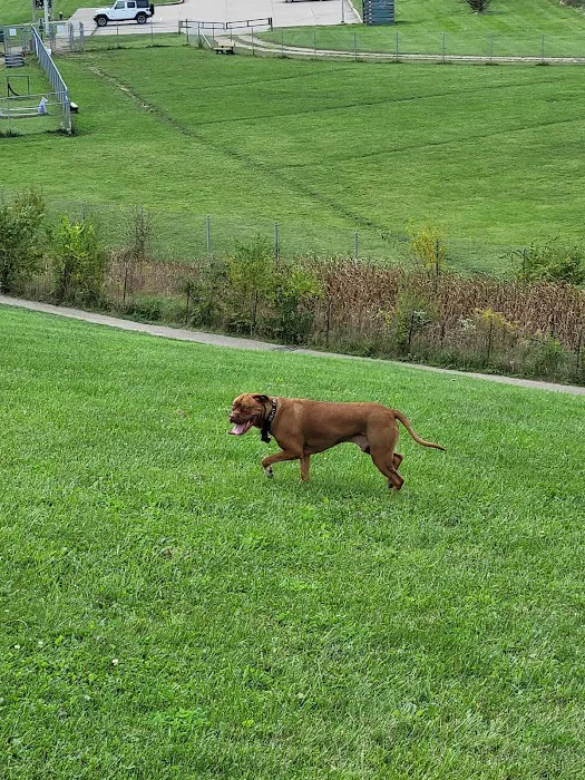 Montgomery County Bark Park Dayton 10