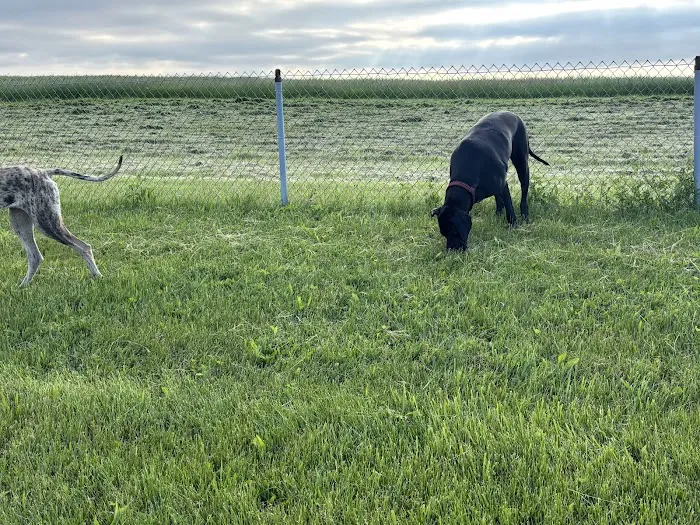 Montgomery County Bark Park Dayton 7