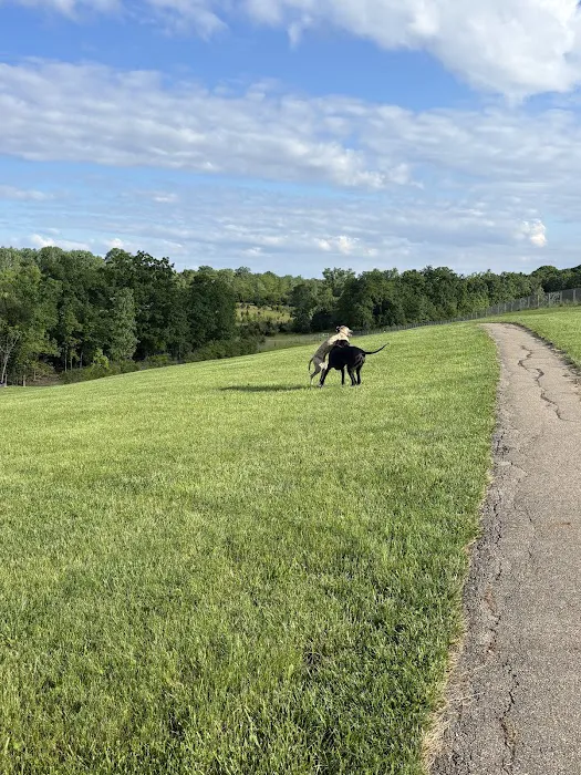 Montgomery County Bark Park Dayton 8
