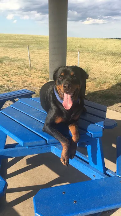Bark Park Offleash 3
