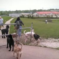 Bark Park Offleash ico