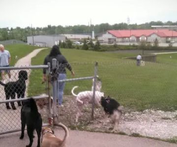 Bark Park Offleash