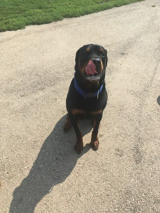 Bark Park Offleash 4