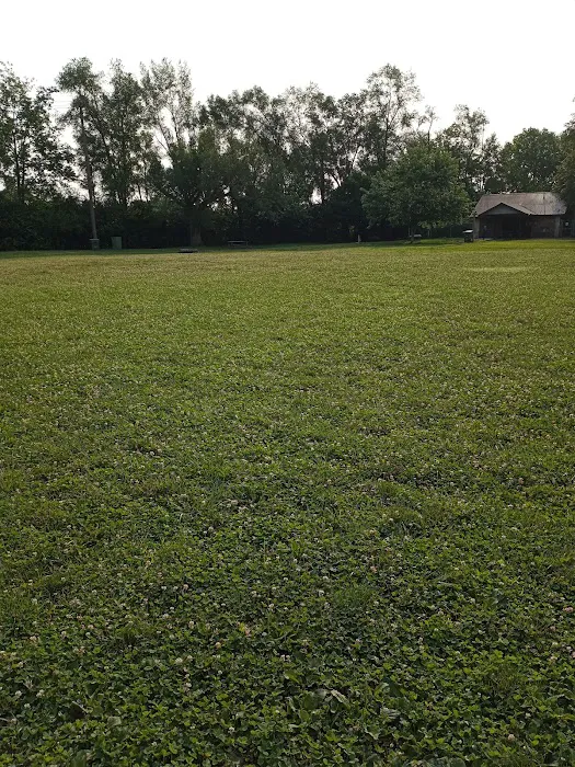 Deeds Point Dog Park 3