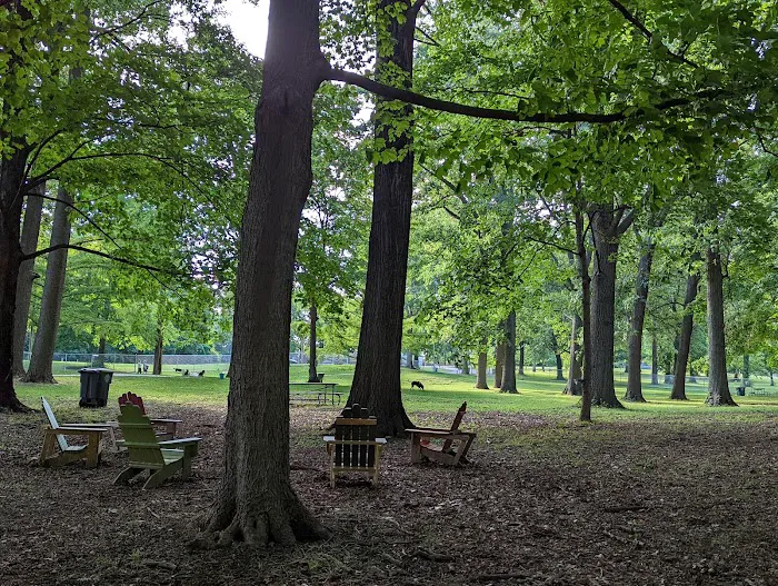 Deeds Point Dog Park 7
