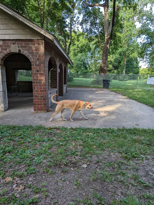Deeds Point Dog Park 4