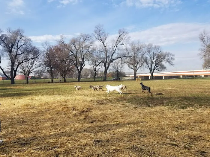 Deeds Point Dog Park 8