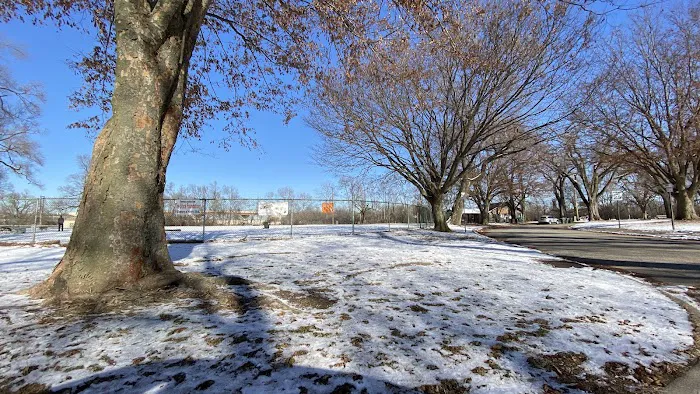 Deeds Point Dog Park 2