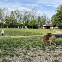Deeds Point Dog Park ico