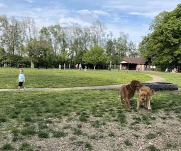 Deeds Point Dog Park