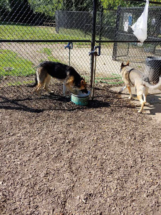Creager Field Dog Park 4
