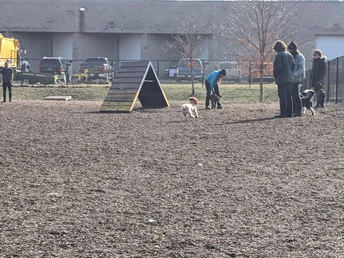 Creager Field Dog Park 8