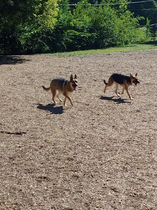 Creager Field Dog Park 3