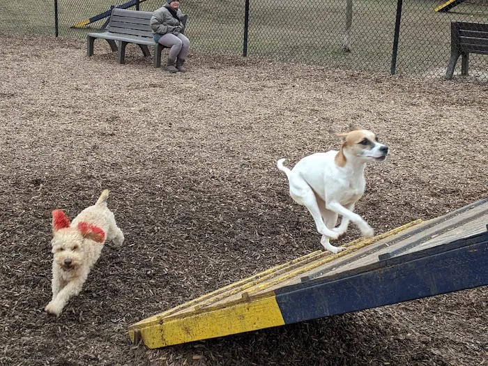 Creager Field Dog Park 2